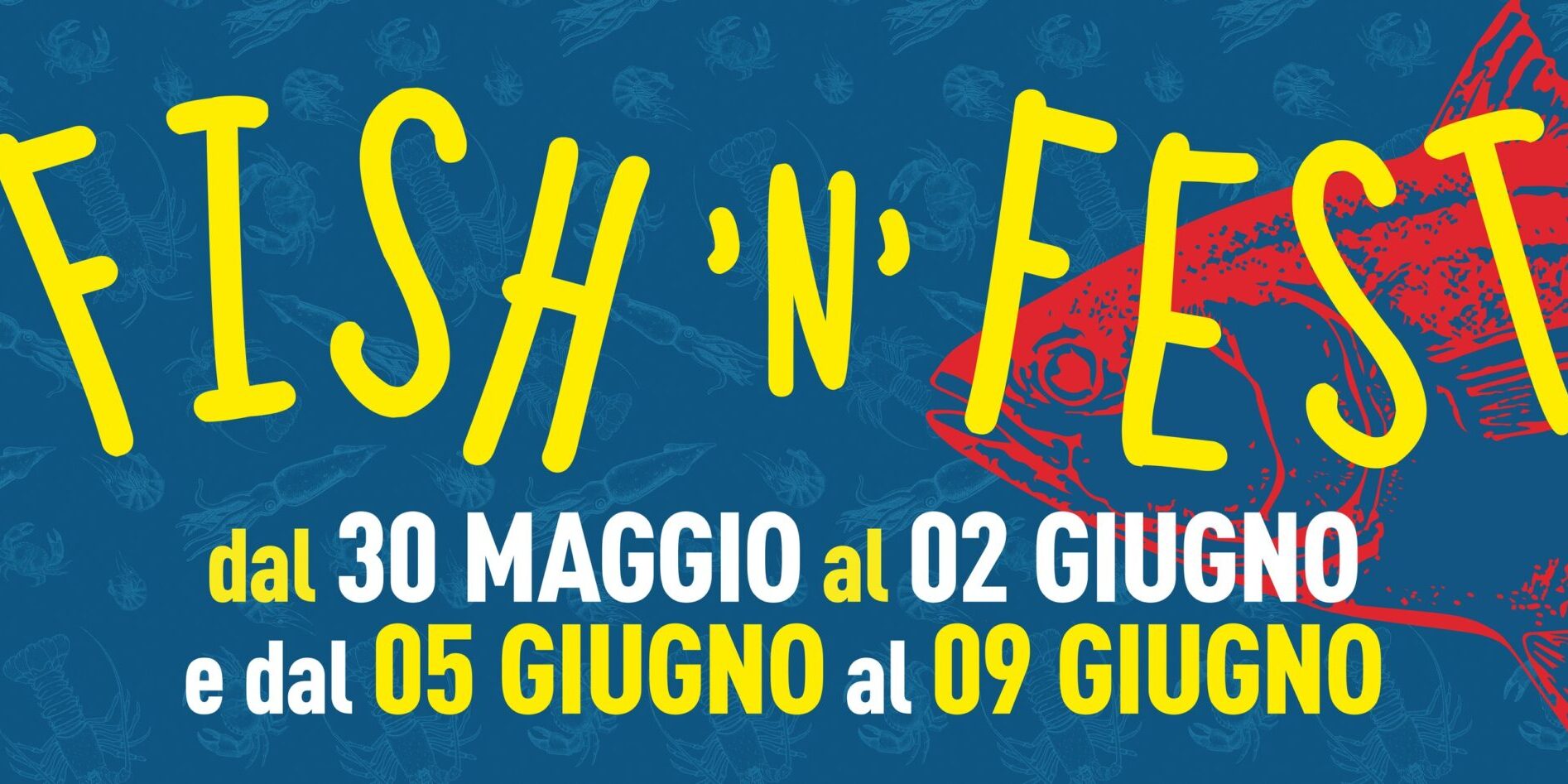 434092501_811379044366618_168139569539385258_n